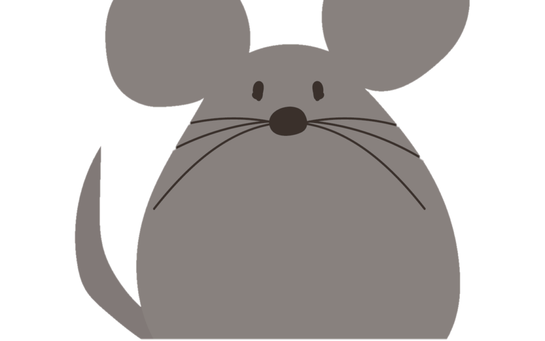 mouse or rat?
